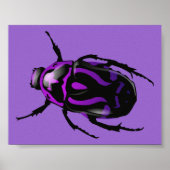 Paarse Beetle Poster (Voorkant)