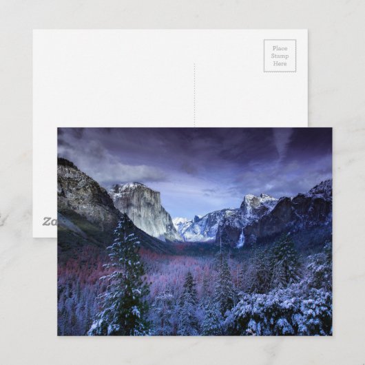 paarse bergen majesteit briefkaart (Voorkant / Achterkant)