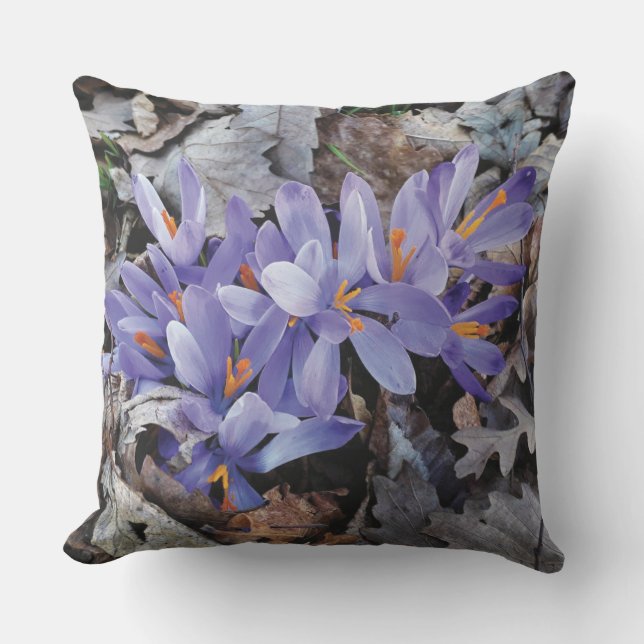 Paarse bergkrokus bloem buitenkussen (Voorkant)