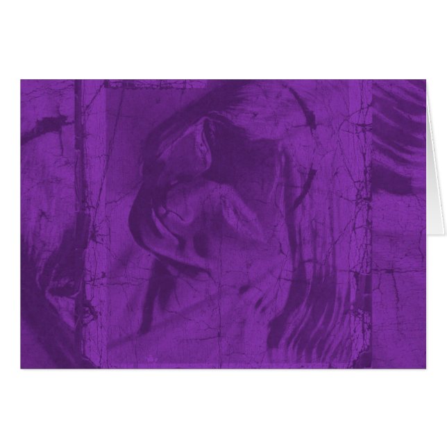 Paarse beschouwingen I (Voorkant Horizontaal)