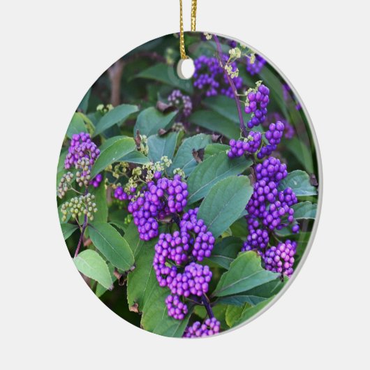 Paarse bessen Foto Ornament (Links)