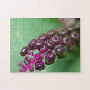 Paarse bessen legpuzzel
