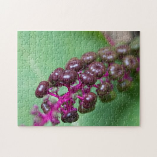 Paarse bessen legpuzzel (Horizontaal)