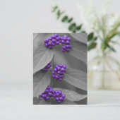 Paarse bessen op zwarte en witte vloed briefkaart (Staand voorkant)