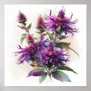 Paarse Bijenbalm Bloem Kunstprint Poster