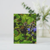 Paarse bijenbalm en roodbaars briefkaart (Staand voorkant)