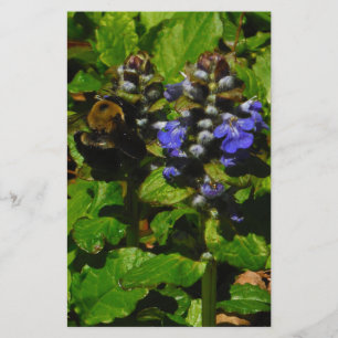 Paarse bijenbalm en roodbaars briefpapier