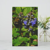 Paarse bijenbalm en roodbaars briefpapier (Staand voorkant)