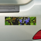 Paarse bijenbalm en roodbaars bumpersticker (Op auto)
