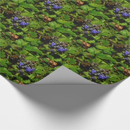 Paarse bijenbalm en roodbaars cadeaupapier (Hoek)