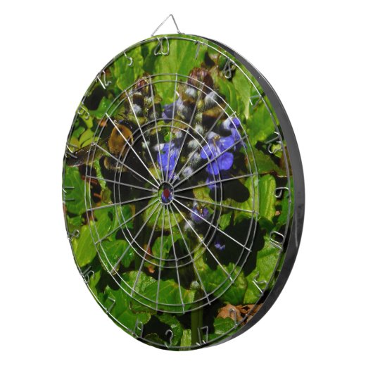 Paarse bijenbalm en roodbaars dartbord (Voorkant Rechts)