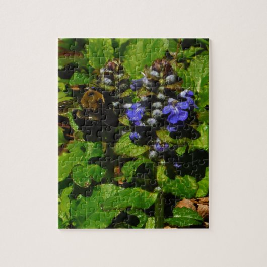 Paarse bijenbalm en roodbaars legpuzzel (Verticaal)