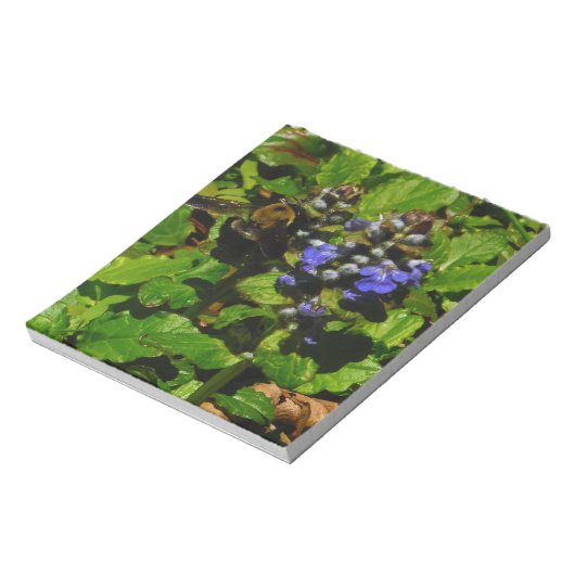 Paarse bijenbalm en roodbaars notitieblok (Linkerzijde)