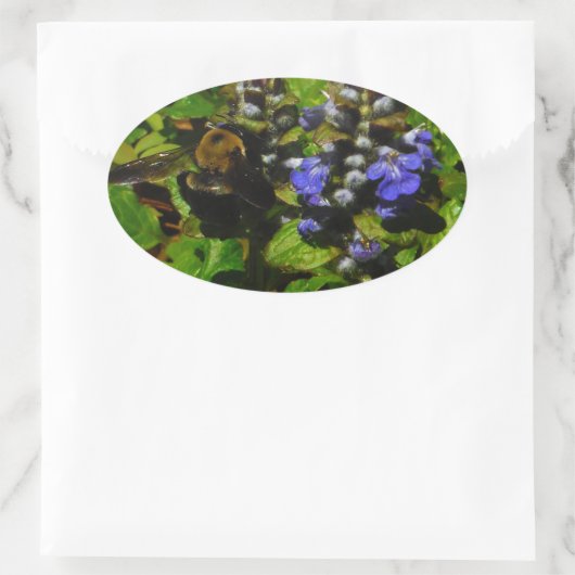 Paarse bijenbalm en roodbaars ovale sticker (Tas)