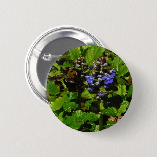 Paarse bijenbalm en roodbaars ronde button 5,7 cm (Voorkant /achterkant)