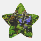 Paarse bijenbalm en roodbaars ster sticker (Voorkant)