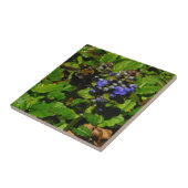 Paarse bijenbalm en roodbaars tegeltje (Zijkant)