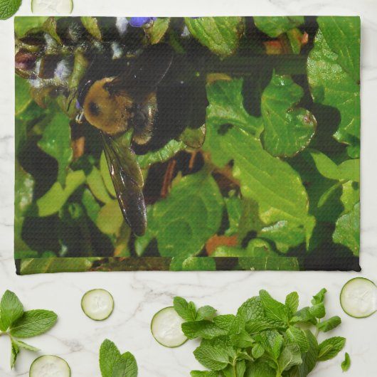 Paarse bijenbalm en roodbaars theedoek (Gevouwen)