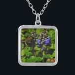 Paarse bijenbalm en roodbaars zilver vergulden ketting<br><div class="desc">Paarse bijenbalmploesbloem en gele en zwarte borstelbijen Foto van Sandy Closs,  genomen op het paars van het Arrowidemeer,  "bijenbalm",  bloem,  bloemen,  bloem,  veer,  kersen,  kersen,  tuin,  bruiloft,  bruiloften;</div>