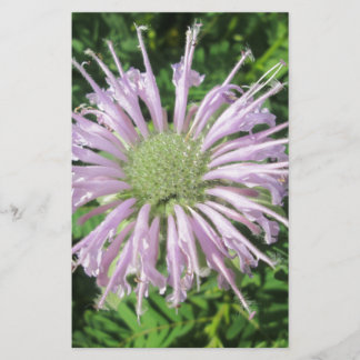 Paarse bijenpalm briefpapier