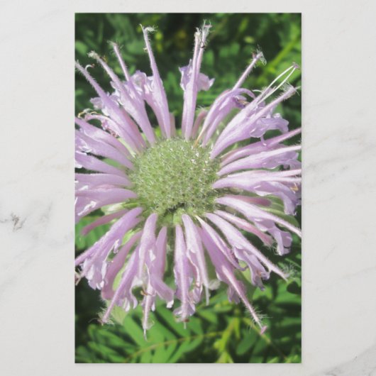 Paarse bijenpalm briefpapier (Voorkant)