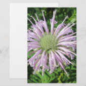 Paarse bijenpalm briefpapier (Voorkant / Achterkant)