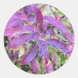 Paarse bladeren op stickers