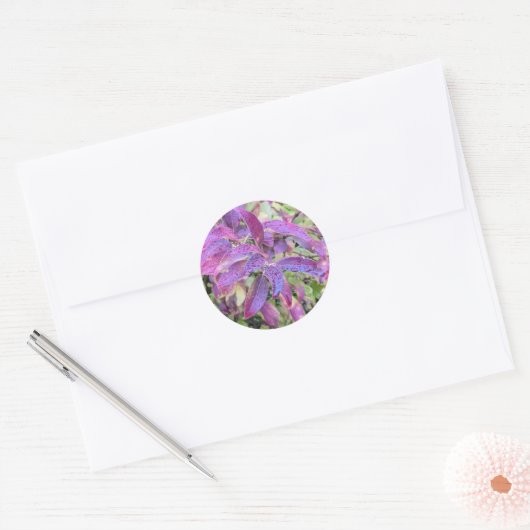 Paarse bladeren op stickers (Envelop)