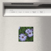 Paarse/Blauw-Daisy-Magnet Magneet (Insitu (Vaatwasser))