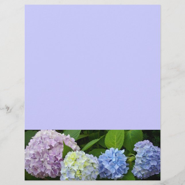 Paarse blauwe bloemen Hydrangeas (Voorkant)