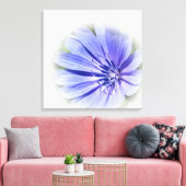 paarse blauwe cichorei canvas afdruk (Insitu (Woonkamer))