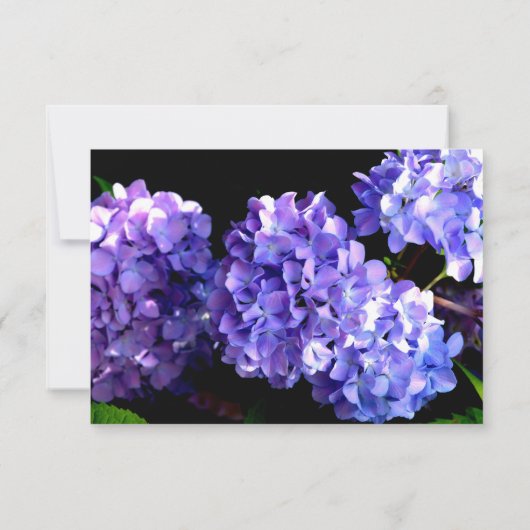 Paarse blauwe hydrangeas magenta paarse bloemen rs save the date (Achterkant)