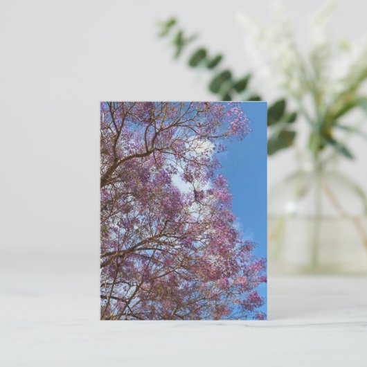 Paarse blauwe Jacarandabische boom Briefkaart (Staand voorkant)