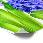 Paarse blauwe roze Happy Noroz Hyacinth Flowers Poster (Hoek)