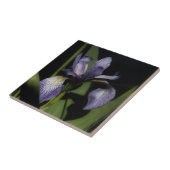 Paarse blauwe vlag Iris bloem Natuur Tegeltje (Zijkant)