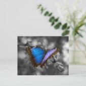 Paarse blauwe vlinder briefkaart (Staand voorkant)