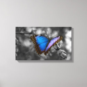 Paarse blauwe vlinder canvas afdruk
