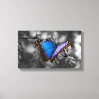Paarse blauwe vlinder canvas afdruk