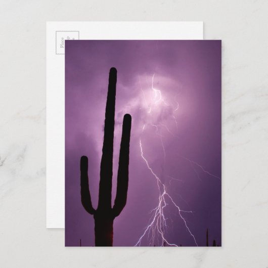Paarse blikseminslag en cactus, AZ Briefkaart (Voorkant / Achterkant)