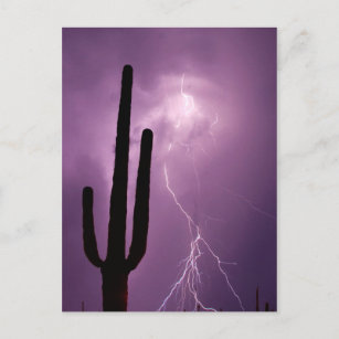 Paarse blikseminslag en cactus, AZ Briefkaart