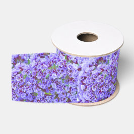 Paarse bloei in de lente grosgrain lint
