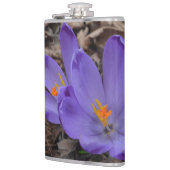 Paarse bloeiende bossen heupfles (Links)