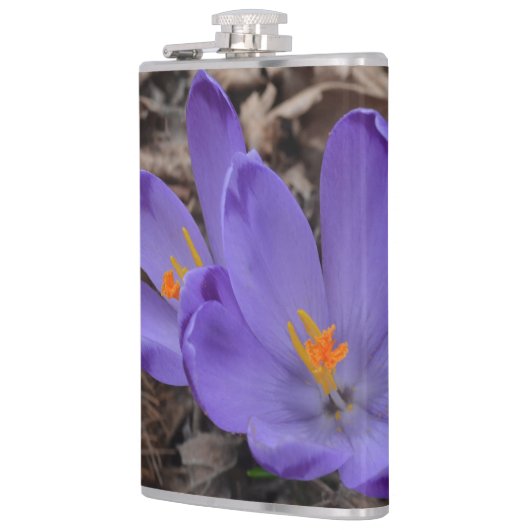 Paarse bloeiende bossen heupfles (Links)