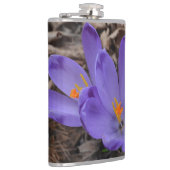 Paarse bloeiende bossen heupfles (Rechts)