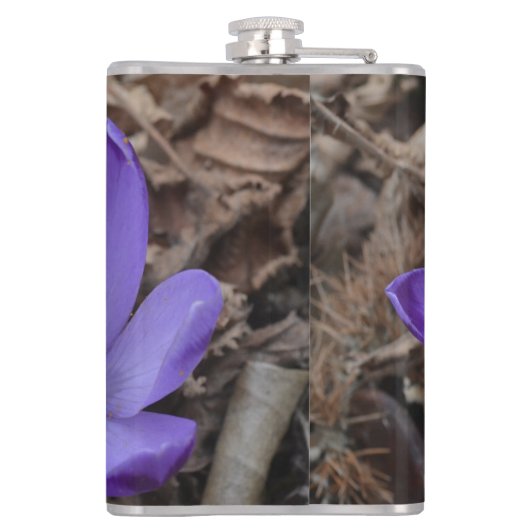 Paarse bloeiende bossen heupfles (Achterkant)