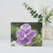 Paarse bloem # 3 briefkaart (Staand voorkant)