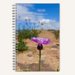 Paarse bloem Armenië Zomer Botanisch  Notitieboek