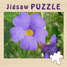 Paarse Bloem bloeiende esthetische Foto - 