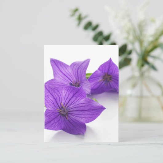 paarse bloem briefkaart (Staand voorkant)