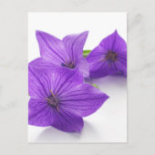 paarse bloem briefkaart (Voorkant)